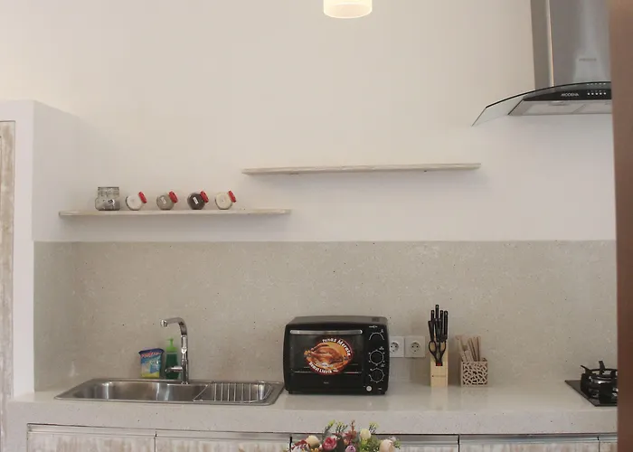 Green Studio Apartment Seminyak